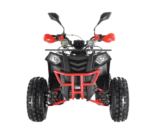 Квадроцикл WELS ATV EVO 125 X ST (Черный) купить за 126 680 руб.