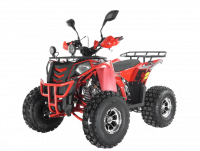 Квадроцикл WELS ATV EVO 125 X (Красный)