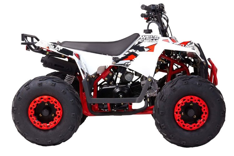 Квадроцикл WELS ATV EVO.M 110см3 (белый) купить за 83 660 руб.
