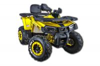 Квадроцикл 200 WILD TRACK X (баланс. вал) желтый