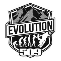 Комплект наклеек 509 Evolution 4 (10 шт)