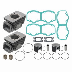 SM-09609K Ремкомплект цилиндров СТАНДАРТ Sledex для Ski-Doo 550F '07-'19