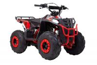 Квадроцикл WELS ATV EVO.M 110см3 (красный)