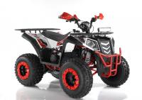 Квадроцикл WELS ATV EVO X200 (красно-белый)