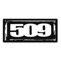 Комплект наклеек 509 Logo – 6"(10 шт)