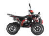 Квадроцикл Wels ATV EVO 125 X ST