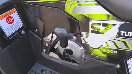 Детский квадроцикл Racer Hawk 110