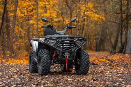 Квадроцикл Loncin XWolf 300 Max