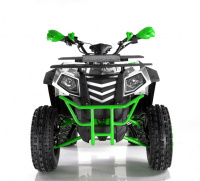 Квадроцикл WELS ATV EVO X200 (зелено-белый) купить за 223 500 руб.