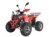 Квадроцикл Wels ATV EVO 125 X