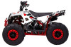 Квадроцикл Wels ATV EVO.M