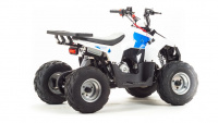 Детский квадроцикл 110 EAGLE купить за 95 400 руб.
