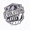 Комплект наклеек 509 Evolution 4 (10 шт)