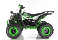 Квадроцикл WELS ATV EVO X200 (зелено-белый) купить за 223 500 руб.