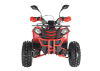 Квадроцикл Wels ATV EVO 125 X