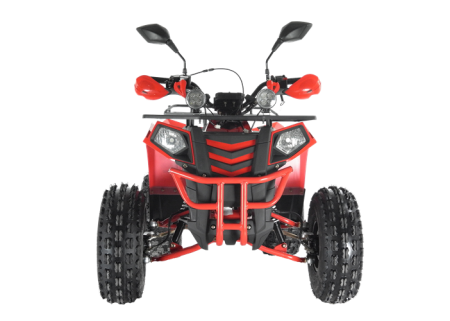 Квадроцикл Wels ATV EVO 125 X