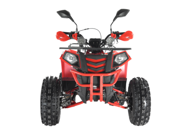 Квадроцикл Wels ATV EVO 125 X