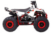 Квадроцикл Wels ATV EVO.M