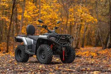 Квадроцикл Loncin XWolf 300 Max
