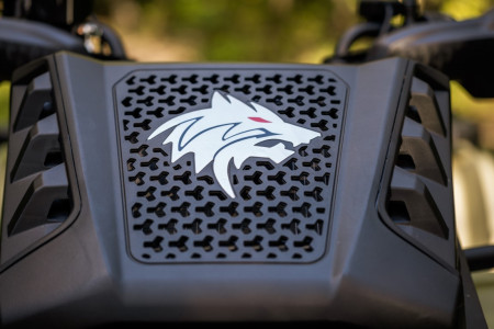 Квадроцикл Loncin XWolf 700L MUD