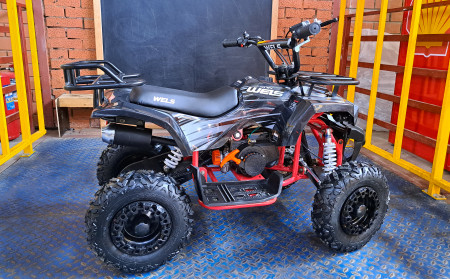 Детский квадроцикл Wels Thunder Mini 2T