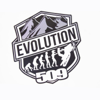 Комплект наклеек 509 Evolution 8 (10 шт) 8 (10 шт)