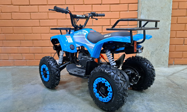 Детский квадроцикл Wels Thunder Mini 2T