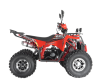 Квадроцикл Wels ATV EVO 125 X