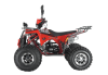Квадроцикл Wels ATV EVO 125 X