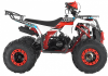 Квадроцикл Wels ATV EVO 125