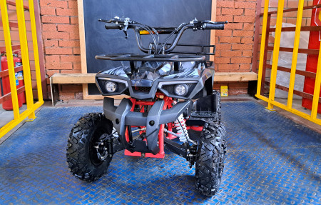 Детский квадроцикл Wels Thunder Mini 2T