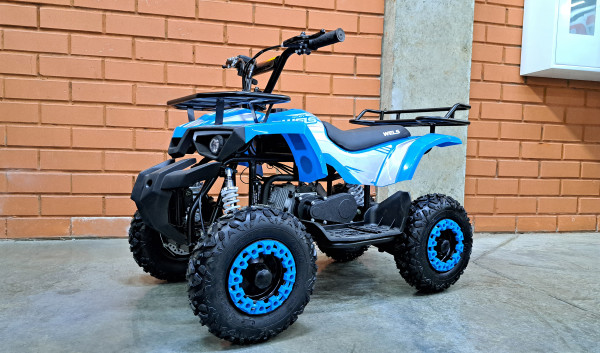 Детский квадроцикл Wels Thunder Mini 2T