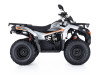 Квадроцикл Loncin XWolf 200